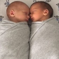 Grey Marle *selling fast